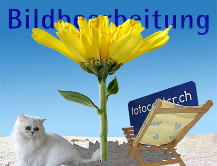 Bildbearbearbeitung PhotoShop-Kurs Symbolbild